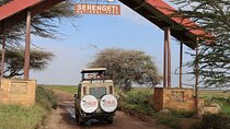 3 Day Group Tour to Serengeti Ngorongoro