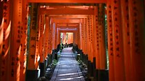 Private Kyoto Nara Tour by Car with Deer, Buddha and More