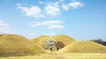 Discover Eastern Korea in 4days: All-Inclusive Experience 