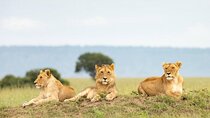 Five days Mikumi and Nyerere National park 