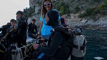 Discovery scuba diving