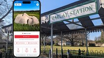 Marlay Park’s Heritage: A Self-Guided Tour of Dublin’s Playground