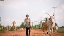 Hidden Gems of Siem Reap Private Tour & Customizable 