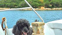 Private Brijuni boat trip