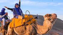 Camel Ride 2 Hours Through the Desert With Transfer - Marsa Alam