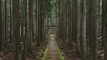 From Bamboo to Hidden Shrines: Kyoto’s Private Escape Tour by Car