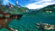  Spanish-Guided Circle Island Adventure 