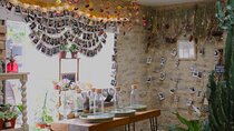 Terrarium Making Experience in Cirencester