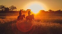 Sunset Landscape Horse riding in Paros 