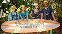 3 Zipline Adventure with Waikiki Transportation