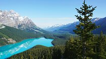 Lake Louise Moraine Lake Peyto Lake Icefield Parkway Day Trip