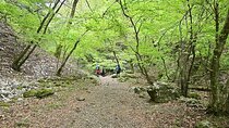 Hiking Adventure to Mt. Mitake, escaping from the Heart of Tokyo