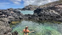 Island of Maui Customized Half Day Tour