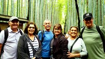 4 Hours Arashiyama and Arashiyama Monkey Park Tour