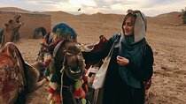 Bedouin Night with Camel Ride, Dinner, and Transfer