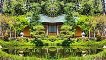 Three Hour Garden Tour
