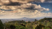 Auckland City Highlights & Black Sand Beaches (Includes Lunch) 