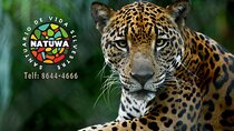 Natuwa Wildlife and Conservation Sanctuary