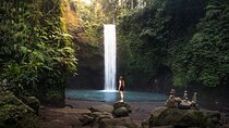 Ubud : Monkey Forest, Rice Terrace, Waterfall, Swing