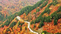 Hakusan Shirakawa go White Road and Shirakawa go from Kanazawa