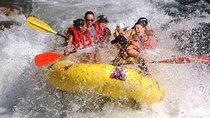 Bali Ayung Rafting Temple Run ATV Gorilla Cave & Cretya Pool Bar