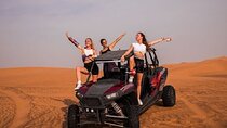 Family Buggy Car Safari & Explore Echo Valley – Sharm El Sheikh