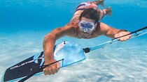 Subwing, Water Ski & Kneeboard Experience with Transfers–Hurghada