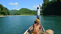 Island Explorer 7 Days North Coast Tour