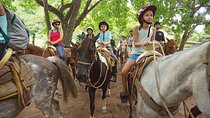 Experience 3 in 1 - Horse Riding, Zipline & ATV Shared