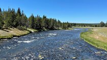 Yellowstone Bus Tour
