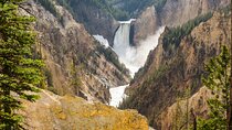Yellowstone Private Tour Up To 14 - A Surprise Activity Included