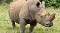 Schotia Private Game Reserve