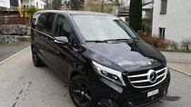 Rhine Falls Private Car Tour Zurich to Neuhausen