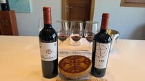 Private tour Almaviva and Concha y Toro wineries