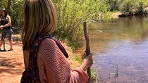 Creekside Earthing, Forest Bathing Healing with a Life Coach