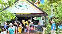 Bob Marley Birth Place and Resting Place 9 Miles Jamaica