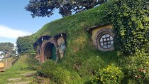 Hobbiton Afternoon Tour in Luxury Minibus from Auckland
