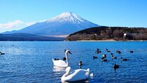 Mt. Fuji and Twin lakes tour in Tokyo /6 major scenic spots