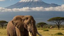 2 Days 1 Night Amboseli National Park Private Safari.