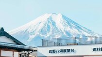 Tokyo to Oshino Hakkai Shared Tour by Bus