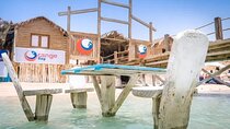  Orange Bay Island with Snorkeling, Lunch & Water Activities