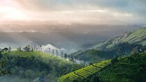 4 Days Private Kerala Tour from Kochi with Hotel Stay