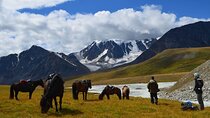  Private Horse Trekking in Mongolia Tour