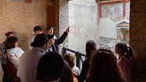 Herculaneum Guided Group Tour from Naples