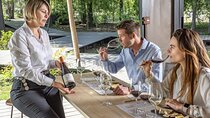 Private Tour Concha y Toro and Santa Rita Wineries