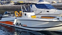 Private Boat Tour in Tenerife South