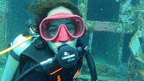 A Recreational Diving Experience