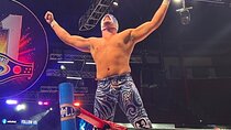 Live Wrestling from the Best Area of the Arena Mexico