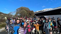 1 Day Thredbo Snow Adventure