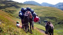 Tusheti to Khevsureti 6 Days Hiking and Trekking Tour